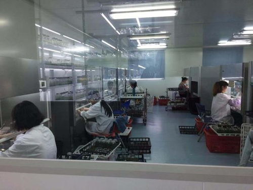 三明蘭花科技小院產品遠銷海外