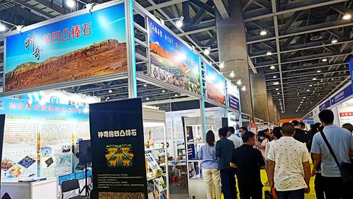 臨澤凹凸棒石新材料亮相羊城 甘肅臨澤赴粵招商推介成果豐碩